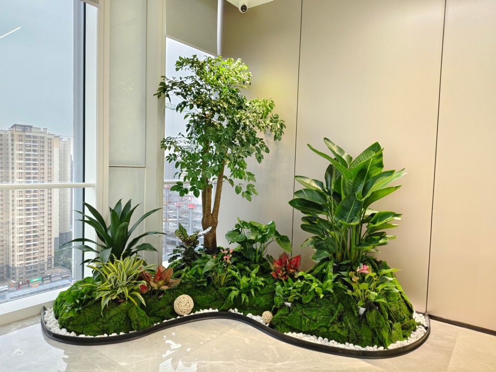 大堂绿植景观