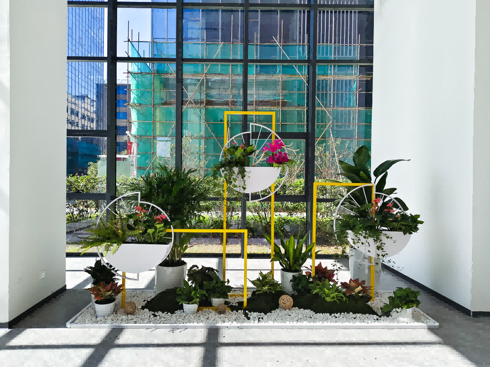 大堂绿植景观