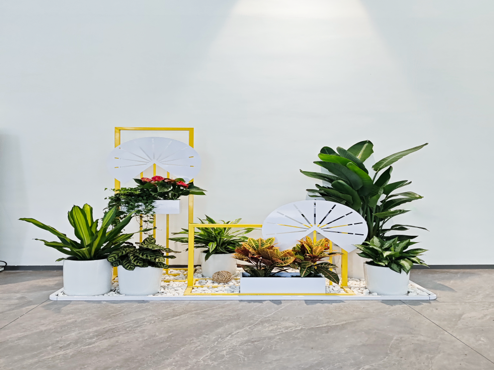 大堂绿植景观