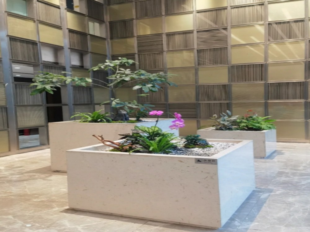 大堂绿植景观