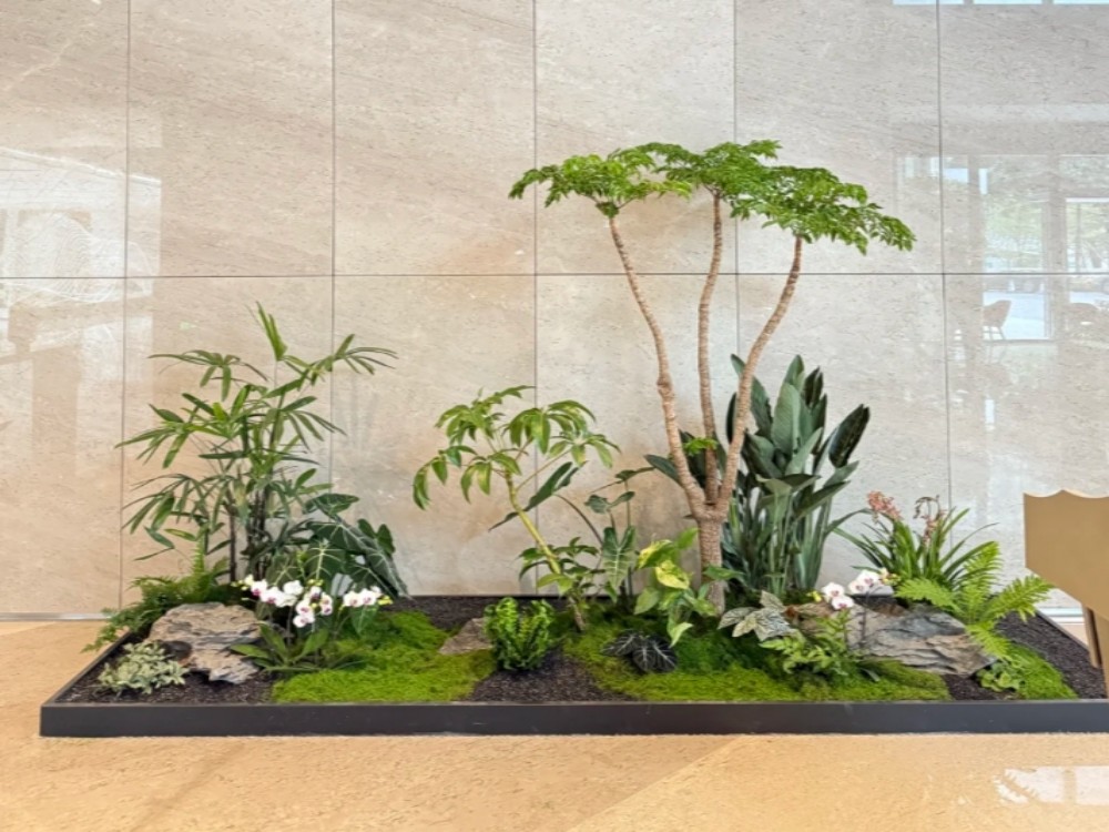 大堂绿植景观