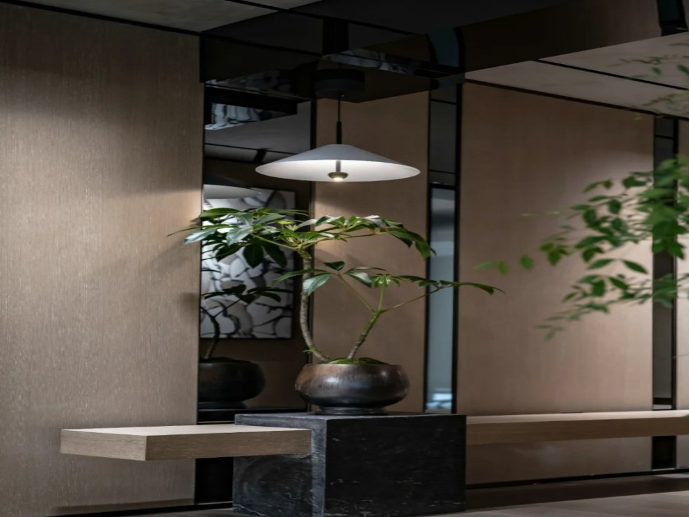 办公区植物