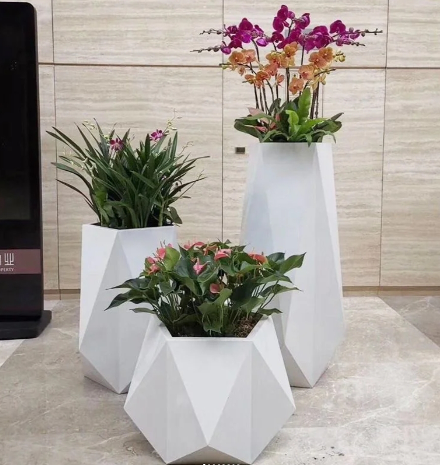 植物组合