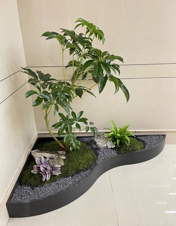植物组合