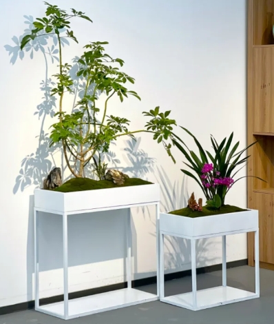 植物组合