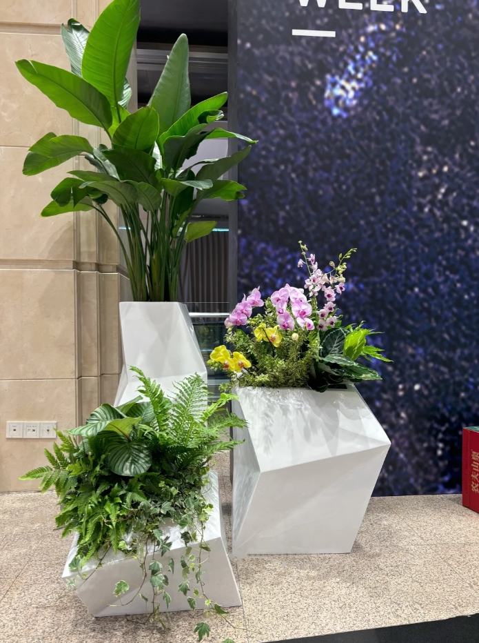 植物组合