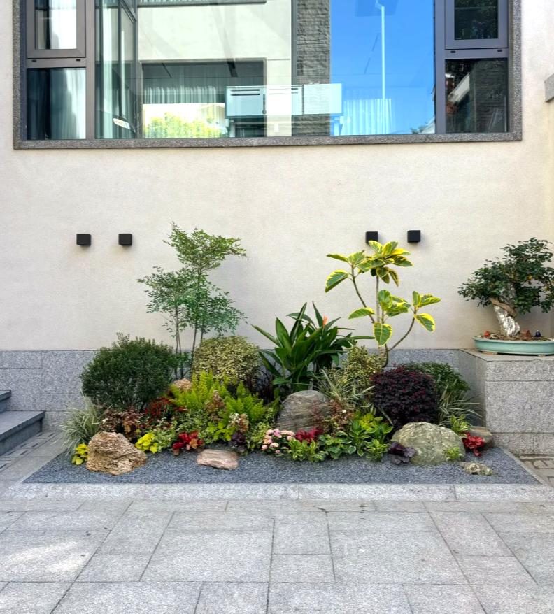 室外植物