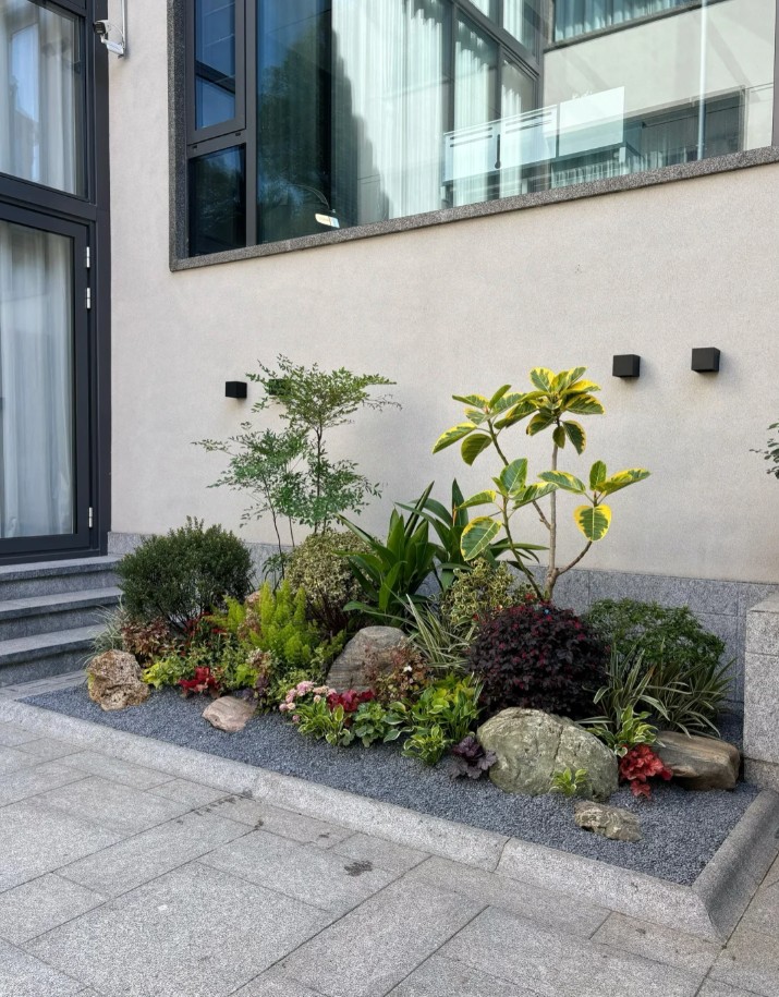 室外植物