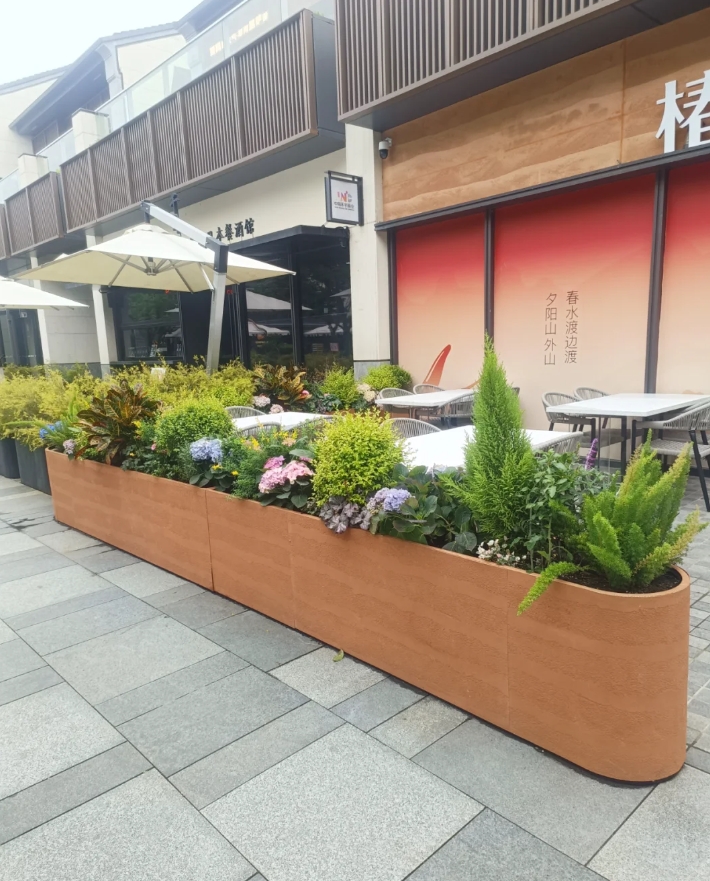 室外植物