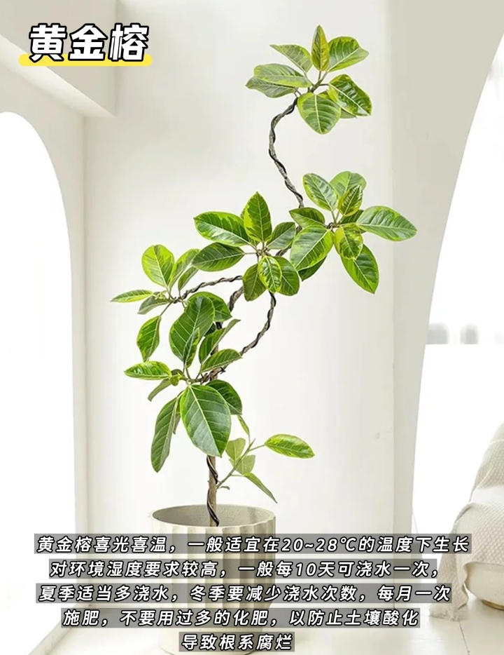 微信截图_20250623151234.png