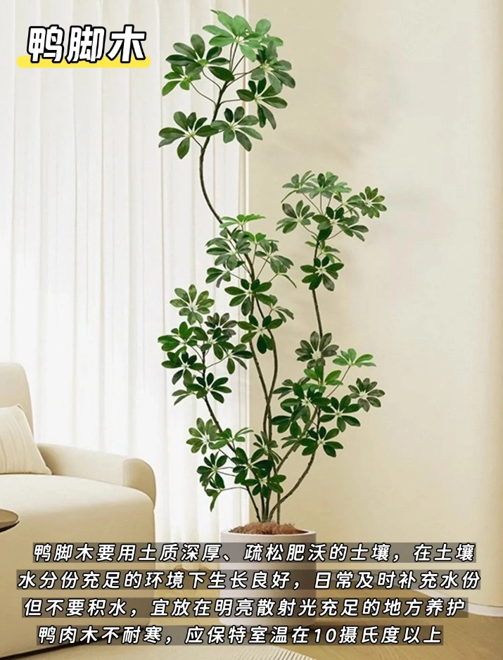 微信截图_20250623151227.png