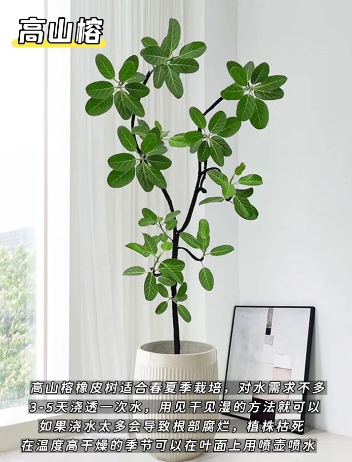 微信截图_20250623151219.png