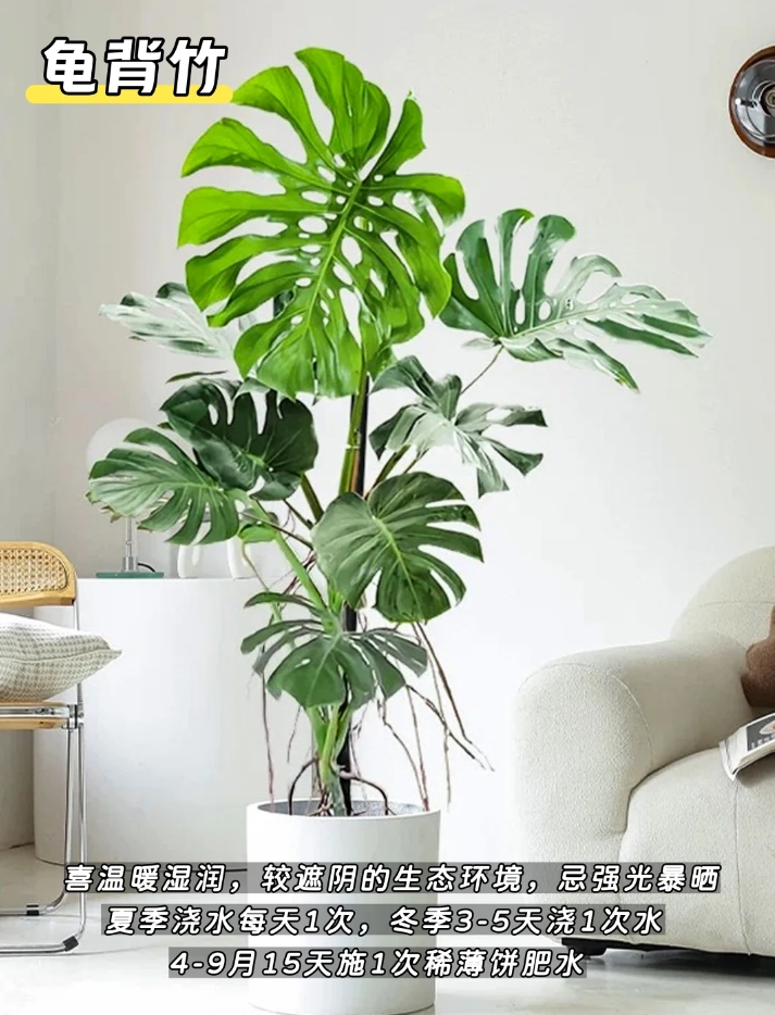 微信截图_20250623151211.png