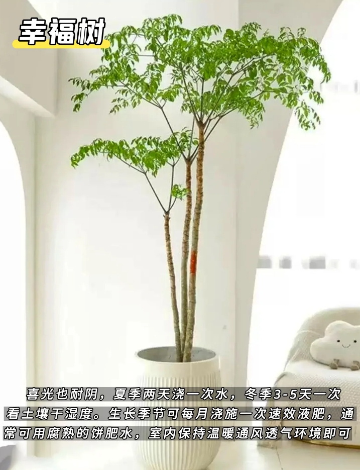 微信截图_20250623151317.png