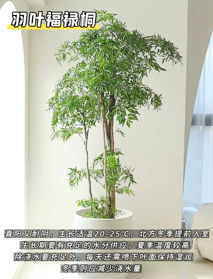 微信截图_20250623151246.png